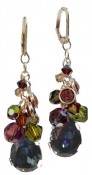 Earth Teardrop Cluster Earrings